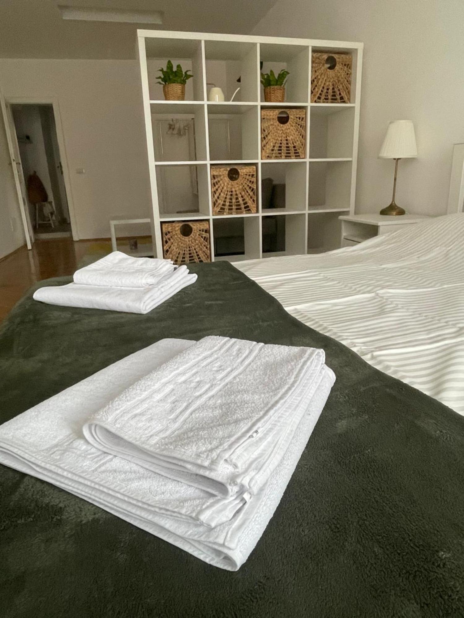 Cozy Stay ブラショフ エクステリア 写真